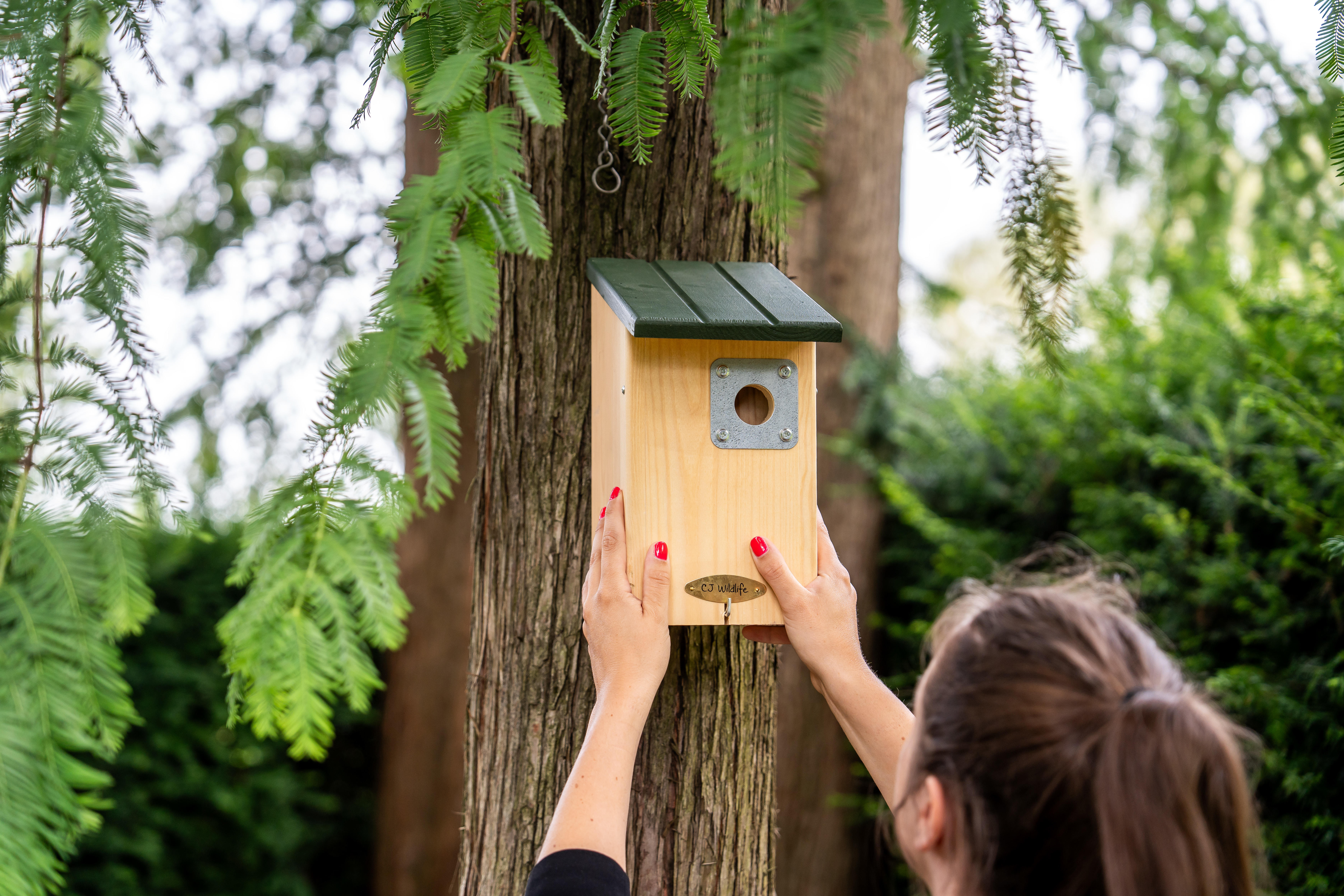 Increase the survival rate of your chicks with the Seattle Predator Protection Nestbox