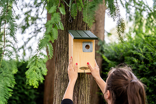 Increase the survival rate of your chicks with the Seattle Predator Protection Nestbox