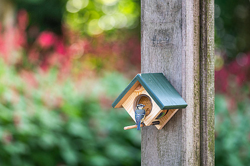 Tover je balkon of kleine buitenruimte tot een vogelparadijs